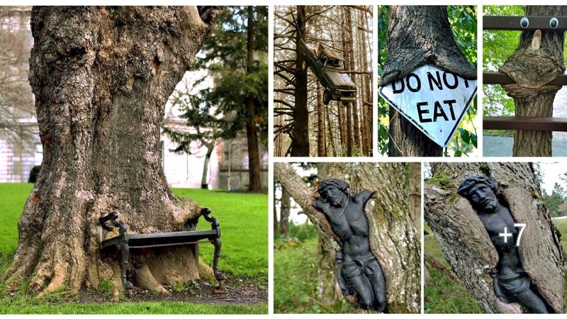 10 Proof that tree monsters are everywhere and ready to devour everything