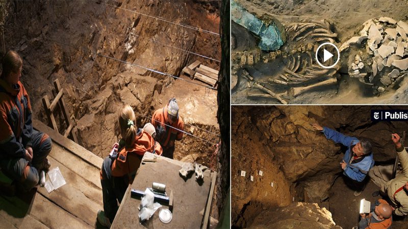 Amazing: Researchers have discovered ancient human DNA in a 240,000-year-old earth