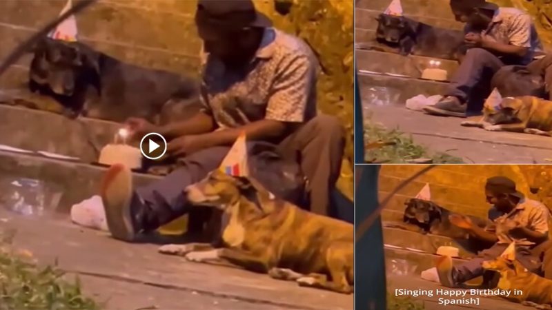 Touched by a series of photos of a homeless man holding a sweet birthday party for his pet dog