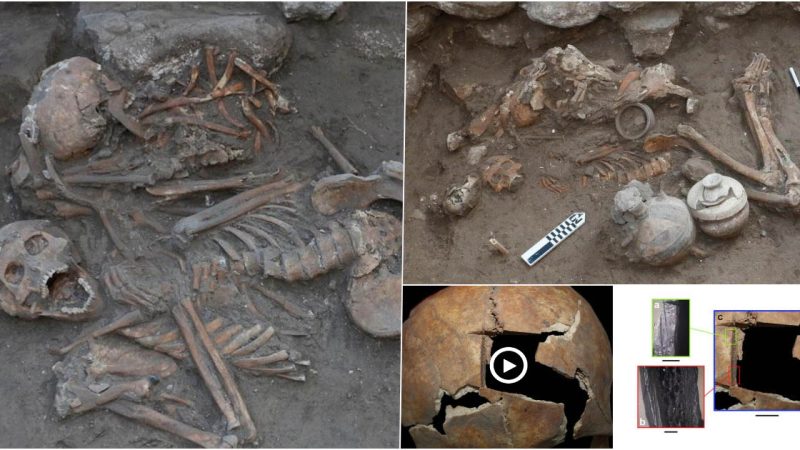 Ancient Near East reveals early evidence of cranial surgery, say archaeologists