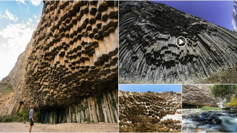 The “Symphony of Rocks,” a rocky mountain in Armenia, is made up of numerous stone columns.