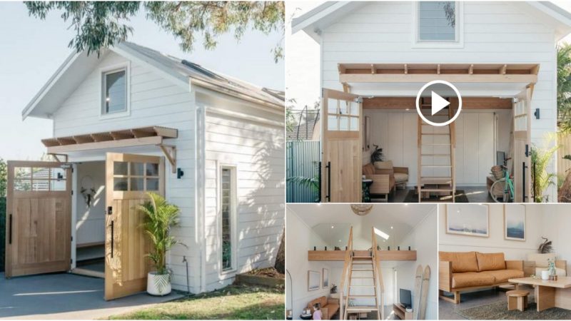 Charming backyard shed, the perfect minimalist sleeping spot