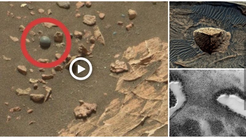 Investigate the strange anomalies that have been discovered through photographs taken on Mars