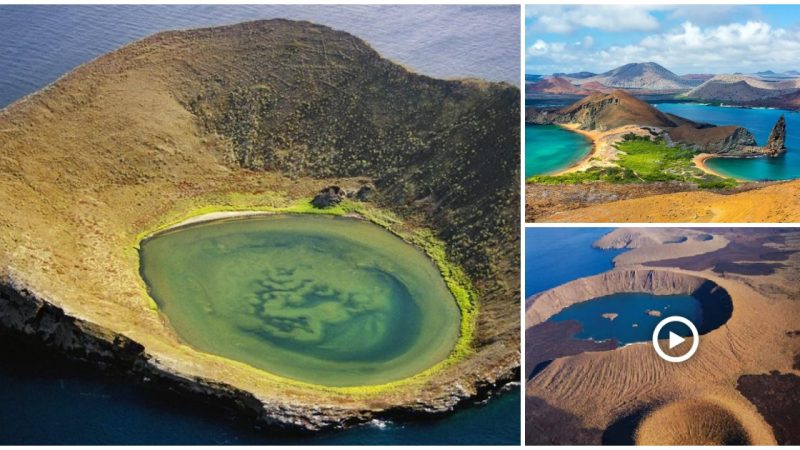 Exploring the World’s Largest and Most Dangerous Crater in Galapagos