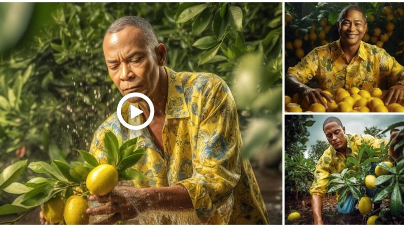 Don Lemon has a new career change : Self-made Lemonaire