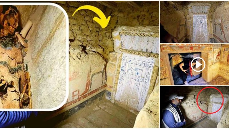 Archaeologists Were Astonished By A Bizarre Characteristic Of A Mummy Discovered In An Ancient Egyptian Tomb.