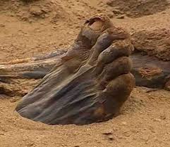 The foot of an Egyptian mummy appears from the sand during excavations in the Saqqara area.