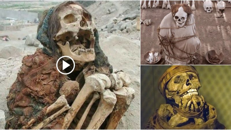 Uncovering the Secrets of an Inca Burial: A Symbolic Journey of Rebirth.