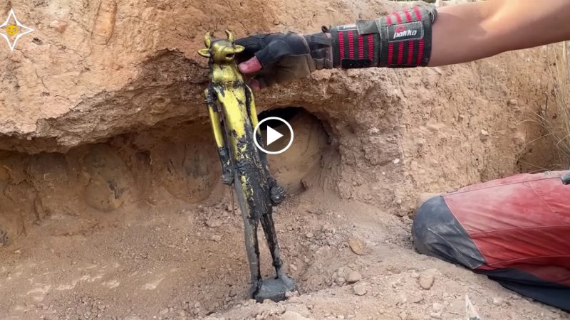 Using a metal detector to locate a treasure comprising gold and jewels.