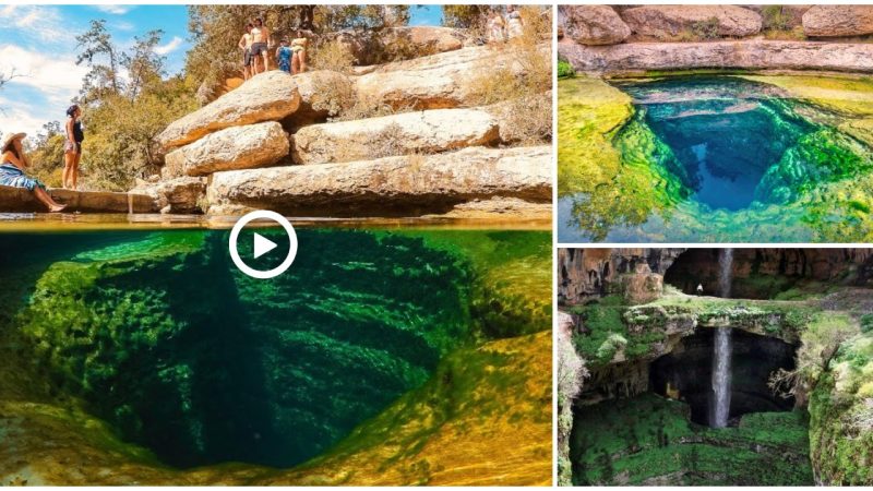 Jacob’s Well, located in Texas Hill Country, is both a natural wonder and a potential hazard