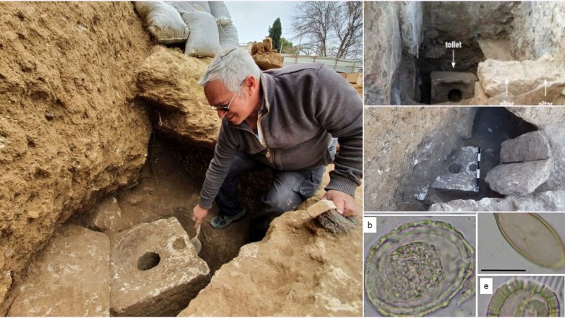 Stone Toilet Of A First Temple Period Luxury Villa Reveals The Jerusalem Elite Suffered From Infectious Disease