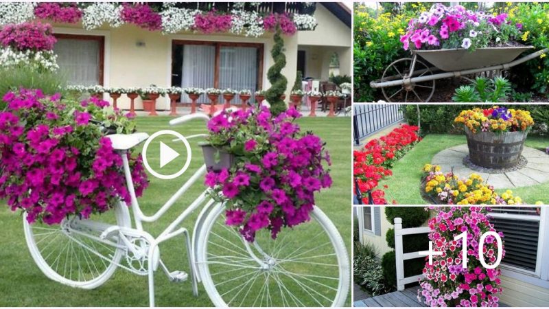 22+ Most Amazing Flower Decorations For Unique Backyard Look