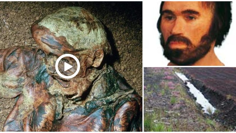 Lindow Man is the preserved body of a man believed to be centuries old