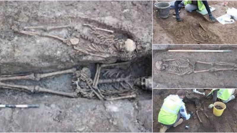 A recent archaeological excavation at Cabinteely in Co. Dublin has uncovered a number of human skeletons of probable early medieval date.