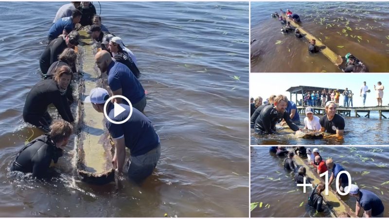 Nearly 1,000-year-old Native American canoe recovered from Lake Waccamaw