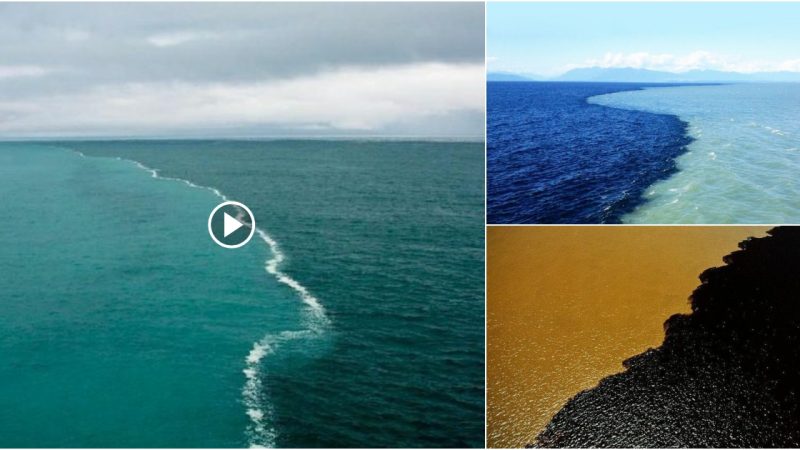 This is why the ocean has two distinct bodies of water that cannot be merged.