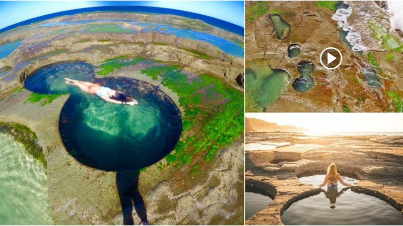 Discover the Breathtaking Beauty of the Figure 8 Pools in Sydney, Australia.