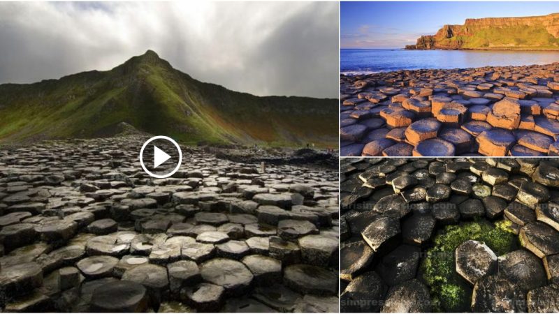 Discovering the Mysterious and Enchanting Giant’s Causeway in Northern Ireland