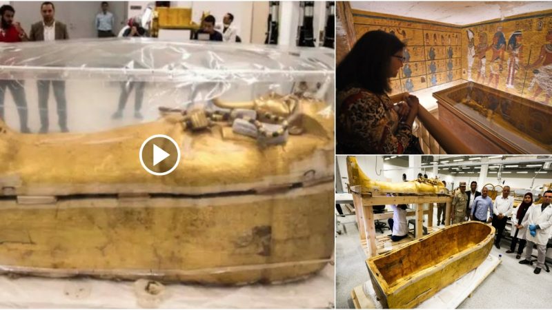 For the first time, King Tut’s casket was removed from his tomb.