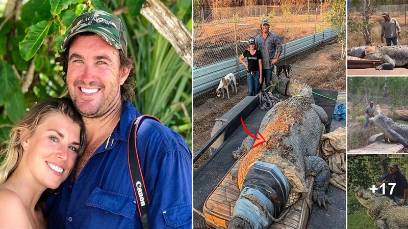 Aussie Crocodile Wrangler Captures Monstrous Five-Metre Predator Named Rex that had been Eating Cows on an Outback Property