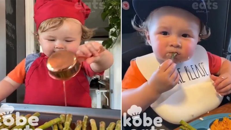 Surprise and Meet the 1-year-old chef who creates dishes and has 1.3 million followers on Instagram