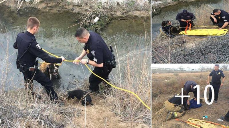 The brave act of the good guys who did not hesitate to plunge into the pit to save the poor dog is an admirable and appreciated act