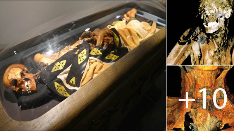 The Siberian Ice Maiden, or the Princess of Ukok, is a female mummy with tattoos from the 5th century BC.