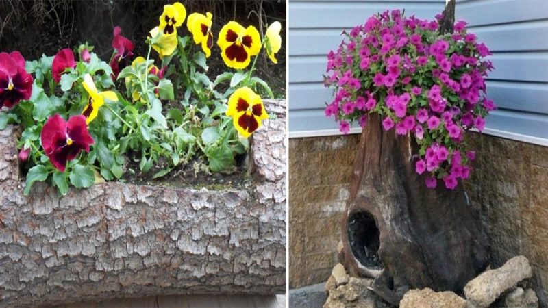 How To Make A Garden Planter Out Of Old Logs