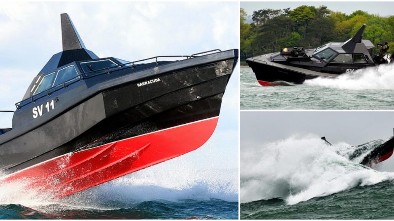 Barracuda Stealth Boat: Unleashing Speed, Versatility, and Beyond