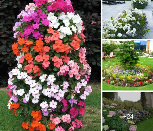 Exploring the Beauty of Flower Beds: 27 Stunning Ideas