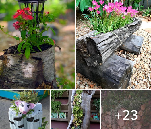 Enhance Your Garden with Natural Charm: Creative Décor Ideas Using Branches and Logs