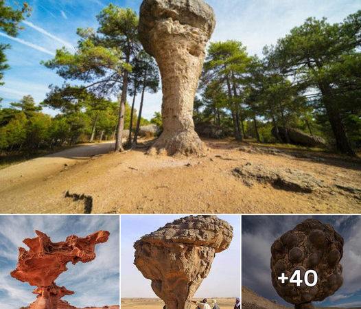 Nature’s Artistry: 37 Captivating and Unusual Rock Formations Across the Globe