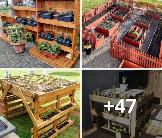 Unlock Your Green Thumb: Crafting a Beautiful Wooden Pallet Planter for Your Garden