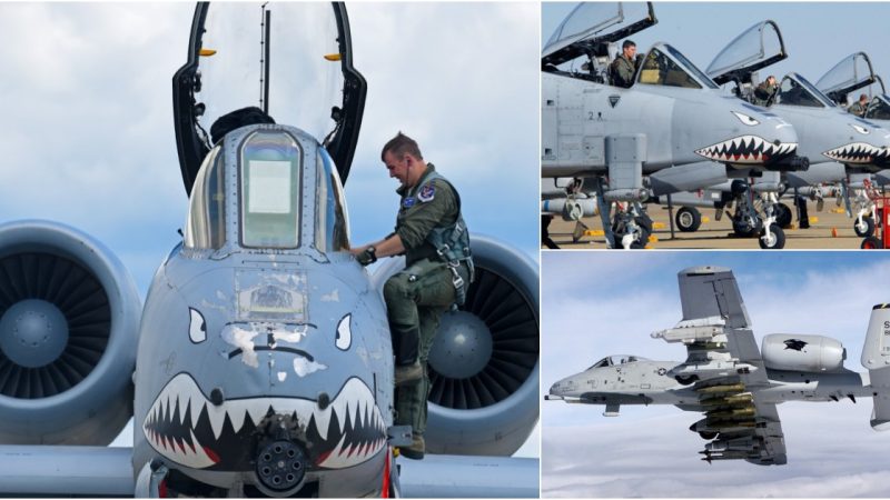 Unveiling the A-10 Warthog’s Formidable New Super Cannon: A Staggering 3,900 Rounds per Minute