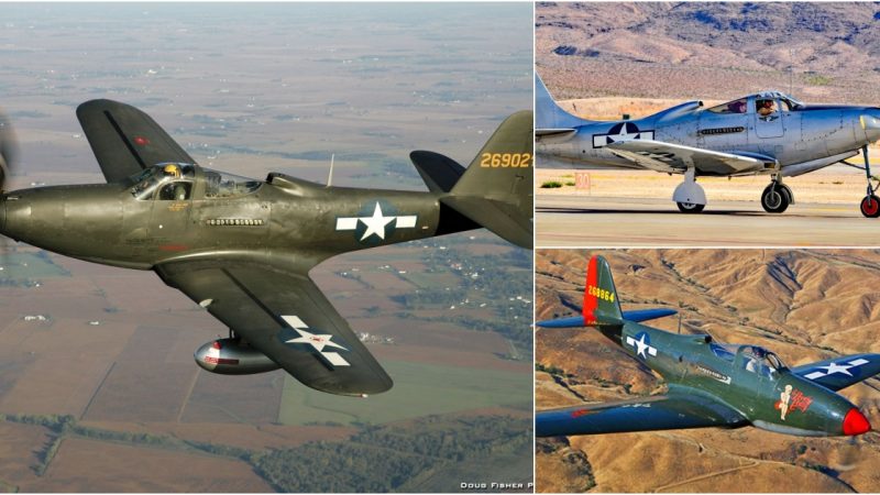 Bell P-63 Kingcobra: Unleashing the Fury of Aviation