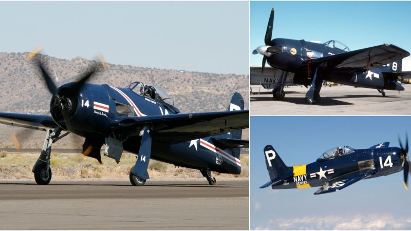 The Final Chapter: The Grumman F8F Bearcat’s Last Flight