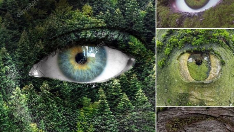 Mesmerizing Mystery: The Enigmatic Rock with a Tearful Eye – A Natural Wonder to Pique Your Curiosity