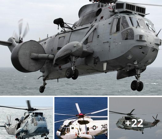 Westland Sea King: Guardian of the Seas