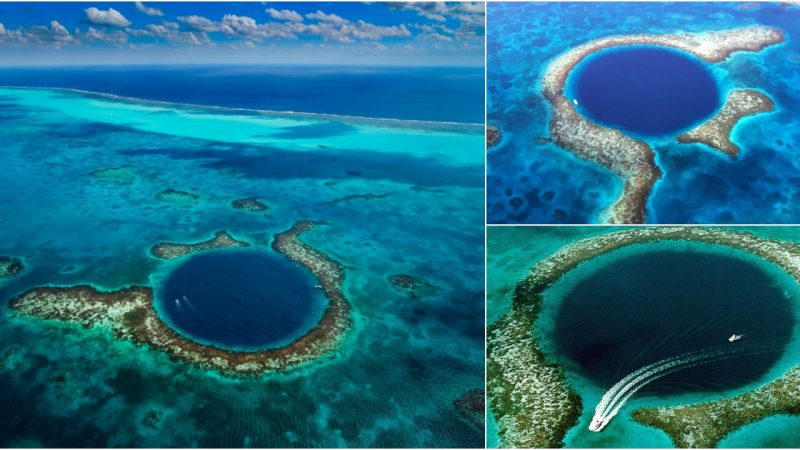 Revealing the Enigma: A Groundbreaking Find in the World’s Largest Blue Hole