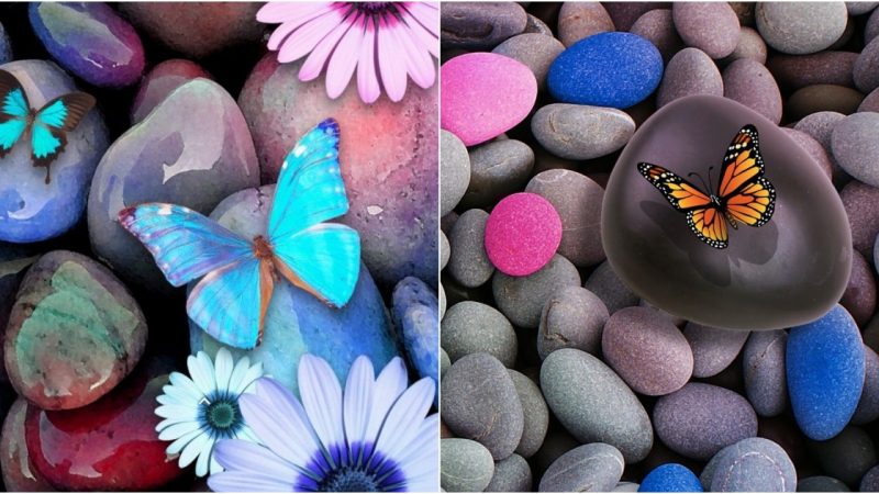 Glistening Gemstones: Butterflies Infuse the Sunlit Beach with Radiant Beauty