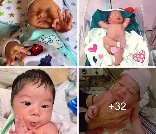 Enchanting and Heartwarming Moments with Newborn Babies