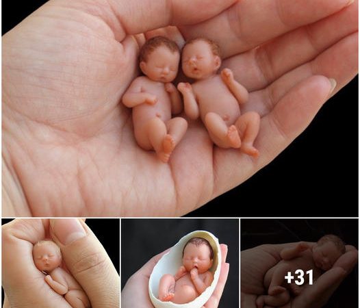 The World’s Tiniest and Sweetest Infants: Little Fairies Full of Promise