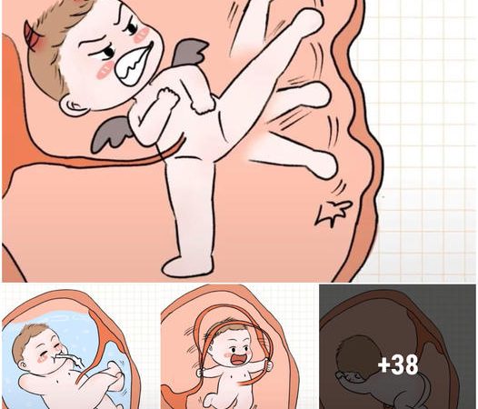 Laughing Out Loud: Mind-Blowing Simulations of Babies in the Womb Leave Everyone in Awe