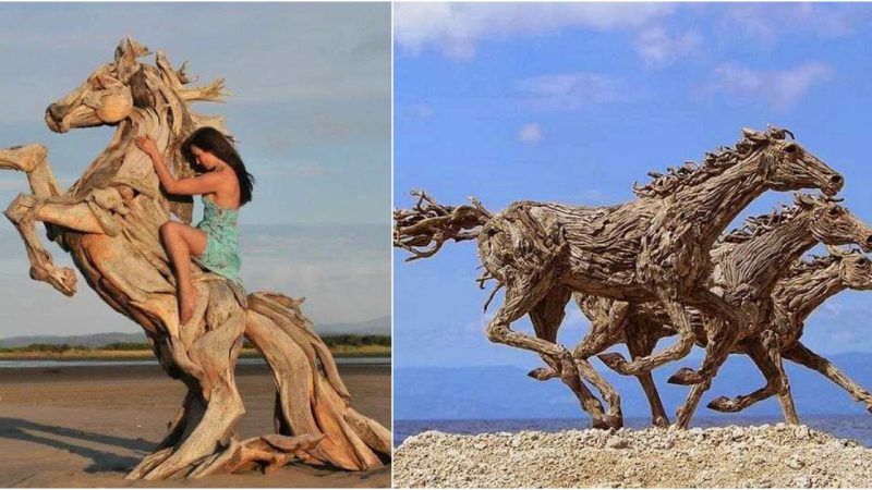 Sculpting the Soul of the Shoreline: Jeffro Uitto’s Extraordinary Wood Creations