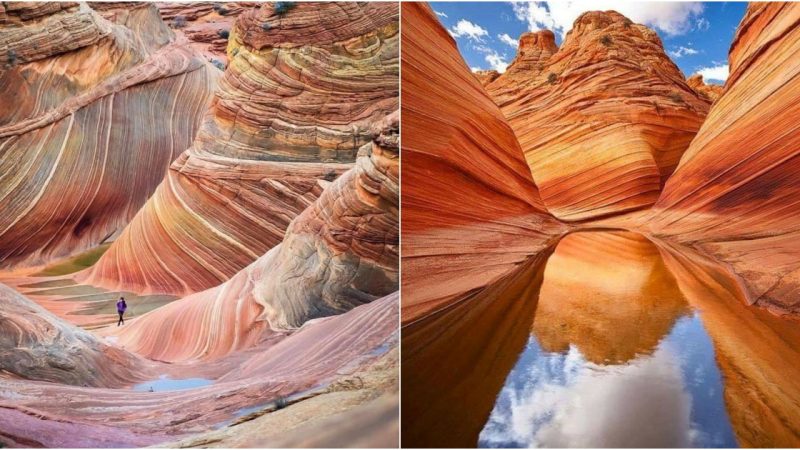 Exploring The Wave in Arizona, USA: A Natural Wonder of Striking Beauty