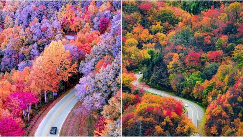 Embark on a Breathtaking Autumn Odyssey: A Majestic Journey Along Scenic Byways