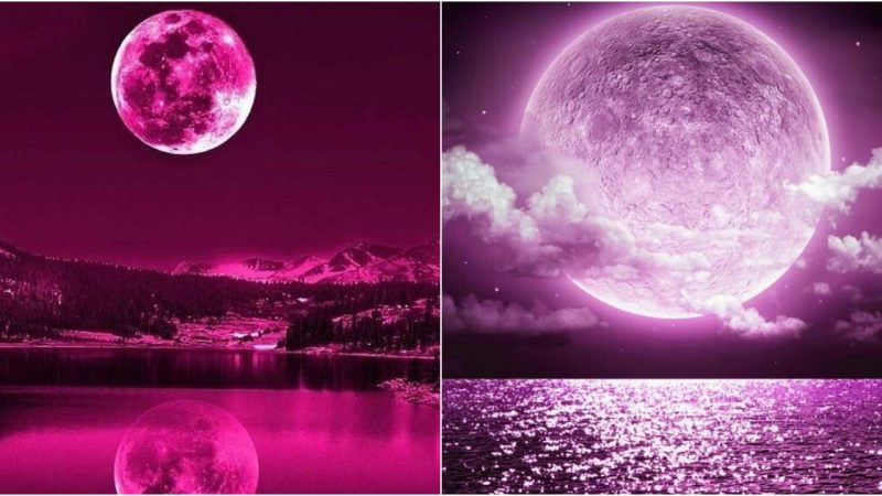 Embrace the Splendor: Super Pink Moon, Nature’s Dazzling Spectacle, Paints the Night Sky in Radiant Brilliance