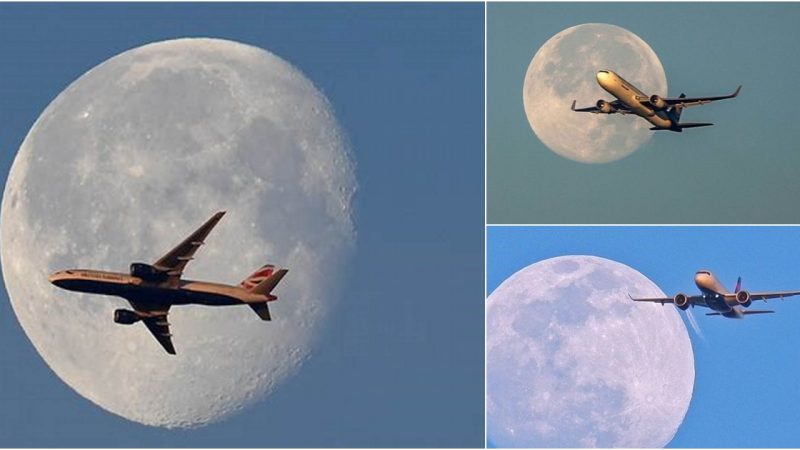 Lunartic Lens Captures Breathtaking Moment: Airplane Soaring Across the Moon