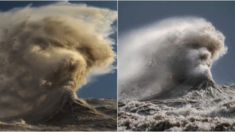 Photographer Freezes a Majestic Wave Resembling a Human Visage in Mesmerizing Shot