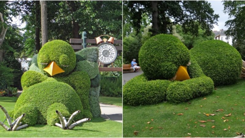 Enchanting Artistry: Transforming Foliage into Sleeping Baby Birds with Irresistible Charm